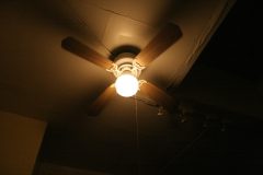 IMG_5689